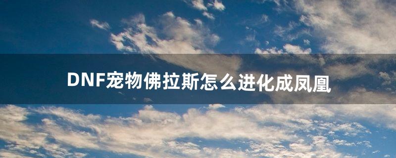 DNF宠物佛拉斯怎么进化成凤凰（宠物佛拉斯还能进化吗)