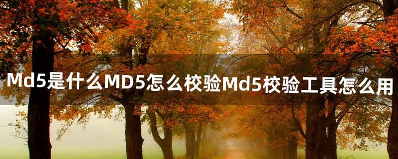 Md5是什么MD5怎么校验Md5校验工具怎么用