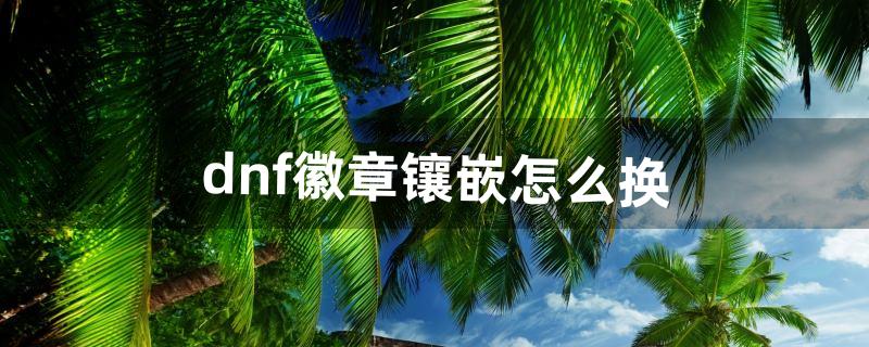 dnf徽章镶嵌怎么换（dnf勋章怎么镶嵌)