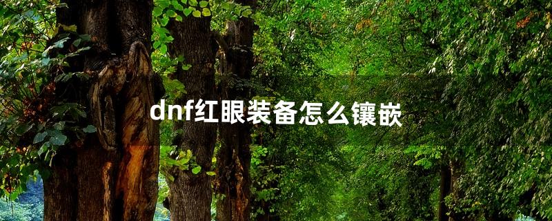 dnf红眼装备怎么镶嵌（dnf装备怎么开启镶嵌栏)