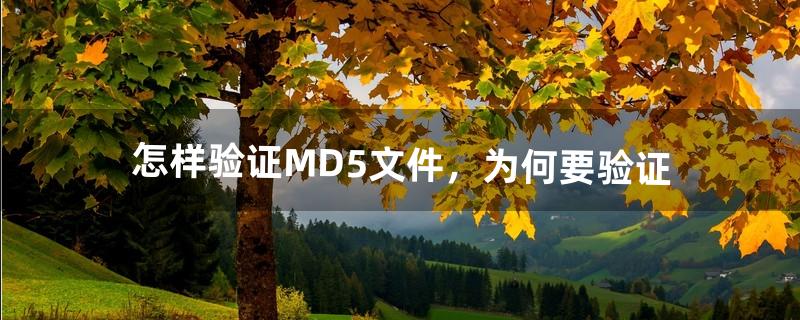 怎样验证MD5文件，为何要验证（md5文件校验失败怎么解决)