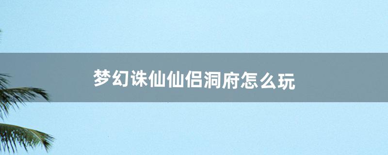 梦幻诛仙仙侣洞府怎么玩（梦幻诛仙仙侣洞府加什么属性)