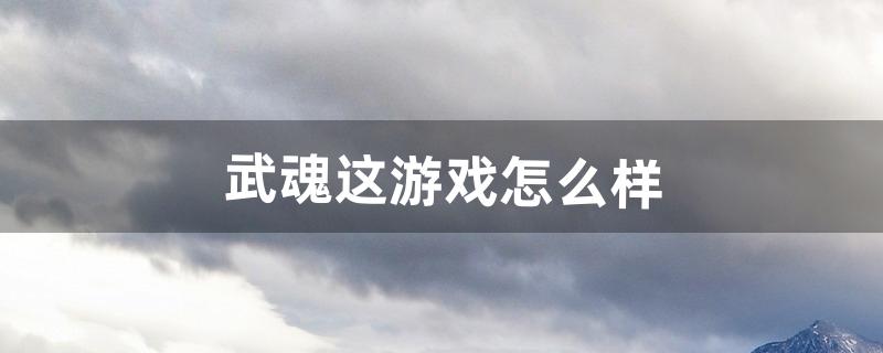 武魂这游戏怎么样（什么游戏是有武魂的)